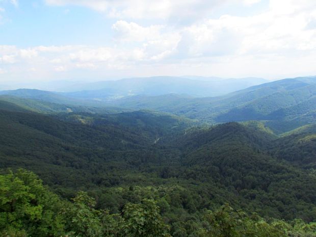 Výhľad z Riabej skaly NP Poloniny