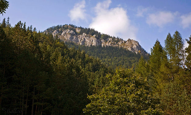 Prosečné - 1372m