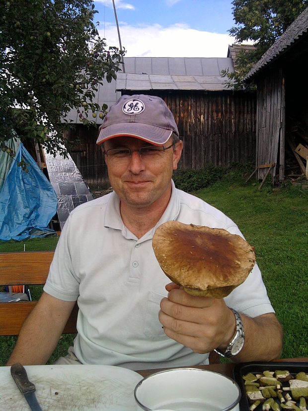 hríb smrekový Boletus edulis Bull.