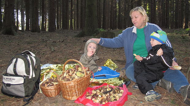 moji verní pomocníci - zmes suchohríbov, prevládal suchohríb hnedý