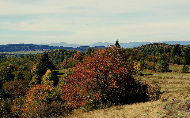 Krajina v okolí Krahúl