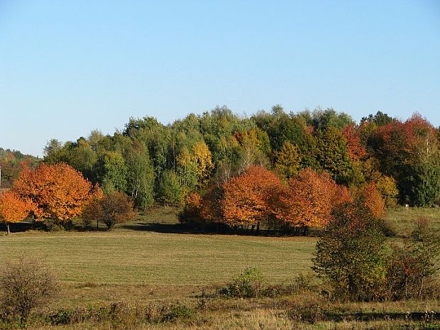 Pohronský Inovec