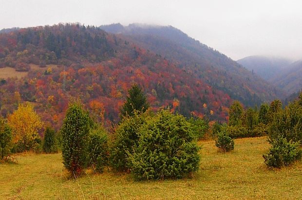 Jesenná krajina Starohorské vrchy