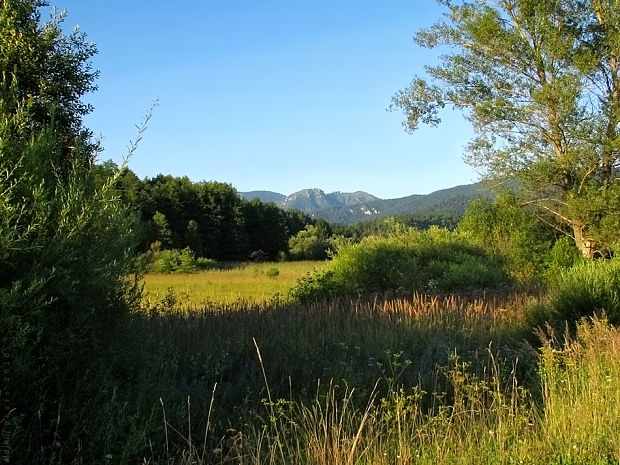 Rakša (Veľká Fatra)