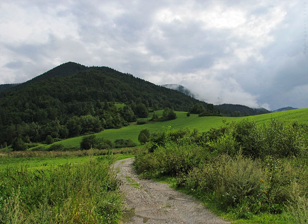 okolie Belej (Malá Fatra)