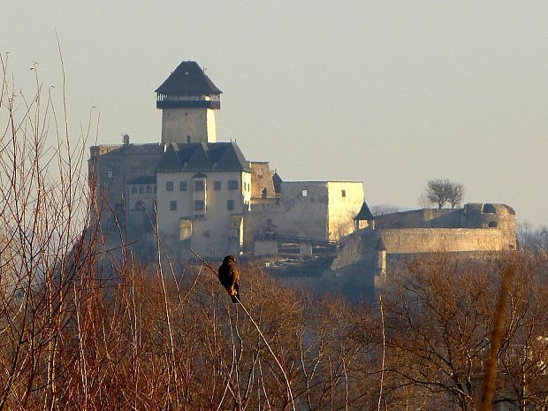 Trenčiansky hrad pohľad z polí