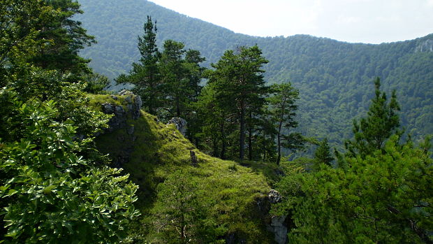 Predný Rokoš