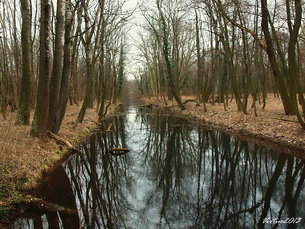 moje pohľady na prirodu