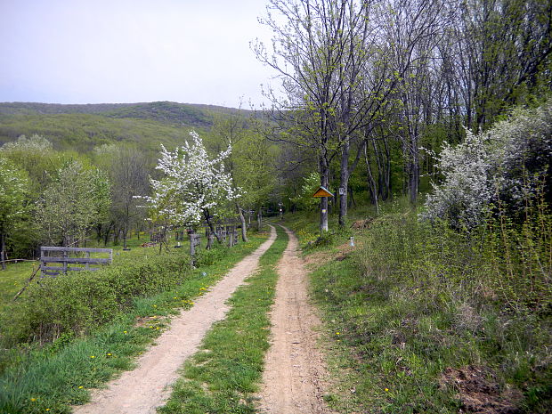 vstup do areálu hubostretka - Belovarka