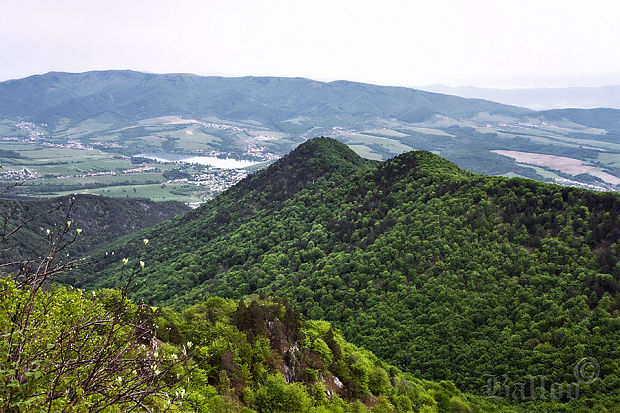 Predný Rokoš - 811 m.n.m.