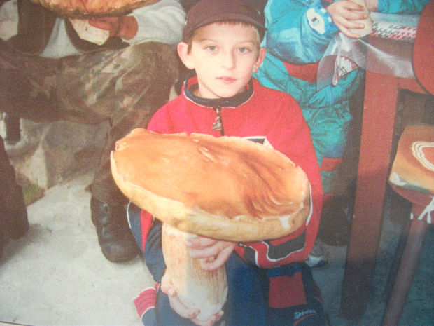 hríb smrekový Boletus edulis Bull.