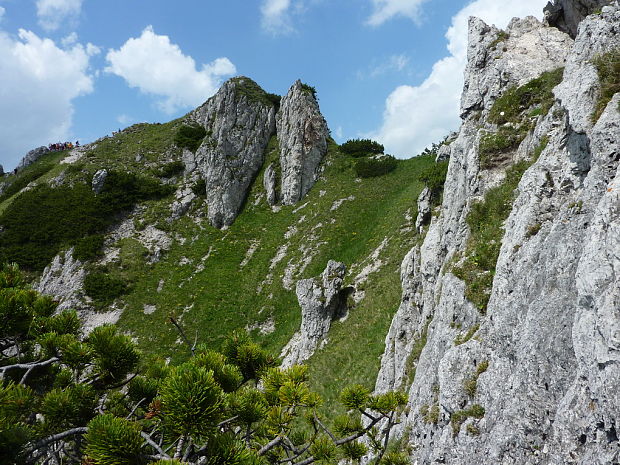 Veľký Rozsutec stráň pod vrcholom