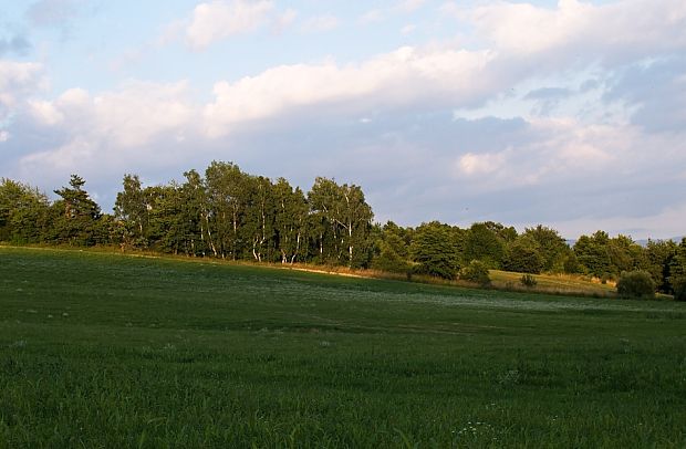 krajinka Jedna z remízok okolia B.Bystrice