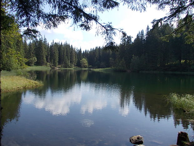 Vrbické pleso