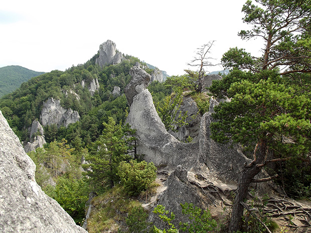 Súľovské skaly