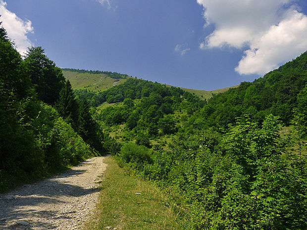 Na Krížnu po trase Horný Jelenec, Valentová, Rybô ...,