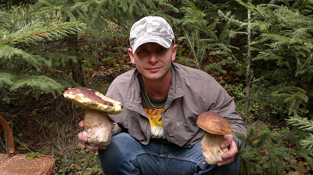 hríb smrekový Boletus edulis Bull.