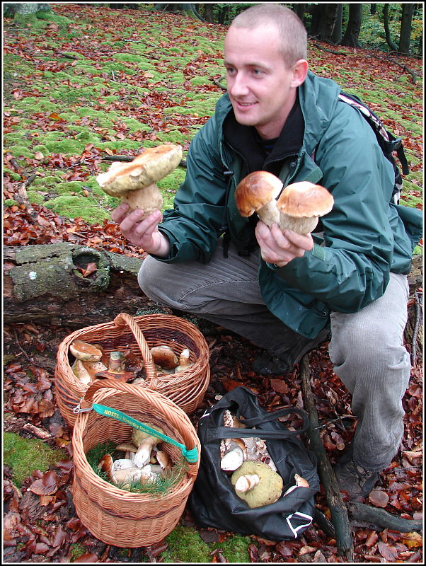 hríb smrekový Boletus edulis Bull.