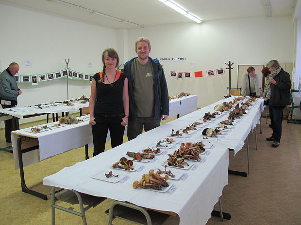 Výstava húb v Prievidzi