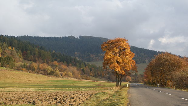 Cesta zo Spišských  Hanušoviec na Keheľ