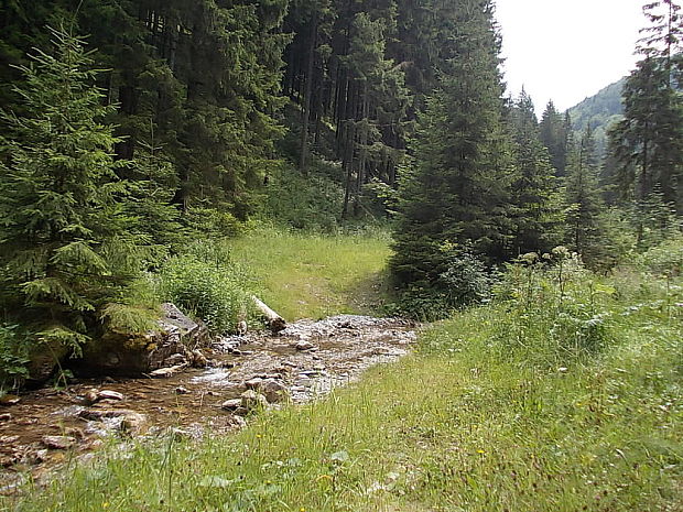 Veľká Sútecká dolina