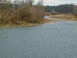 Meandry řeky Moravy - zazemňující se rameno