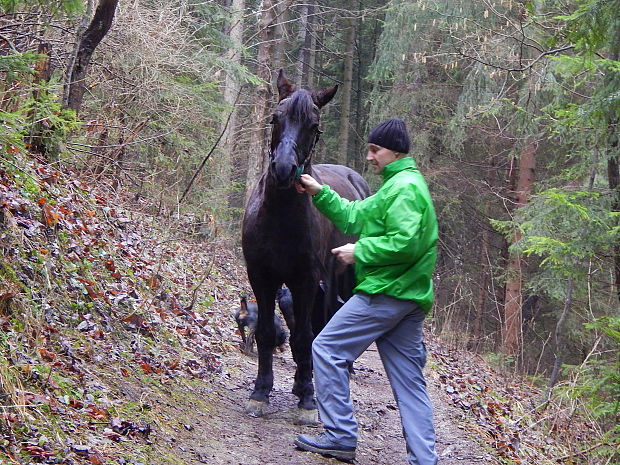 Pony Vihár