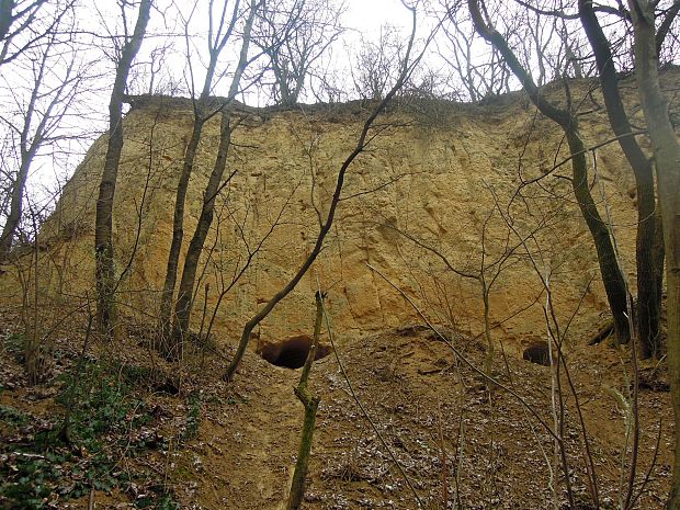 vo Veľkom jarku