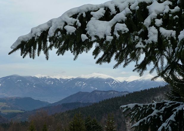 Pohľad na MF