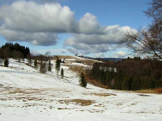 Zákľuky