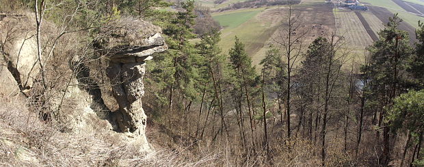 Markušovský skalný hríb /