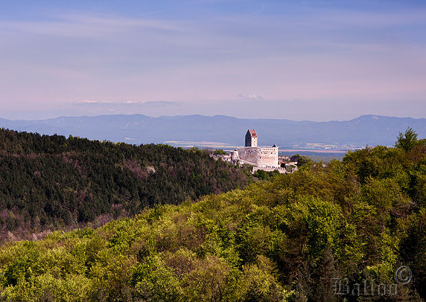 Topoľčiansky hrad