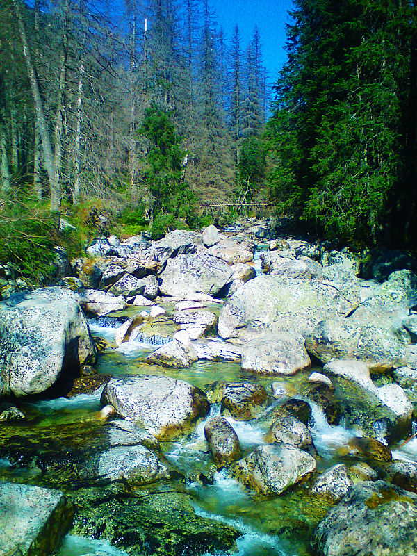 Vysoké Tatry