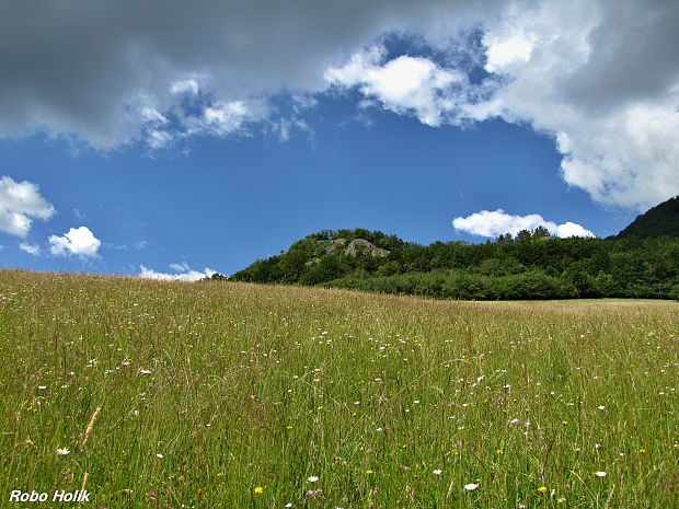 Rohatá skala-Hrádok