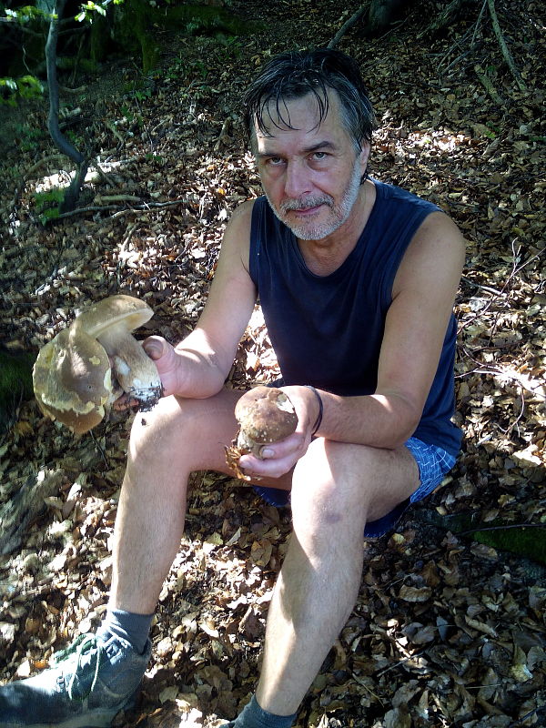 hríb Boletus sp.