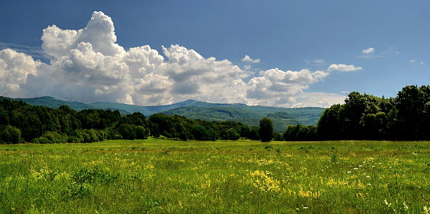 niva pod Vtáčnikom...