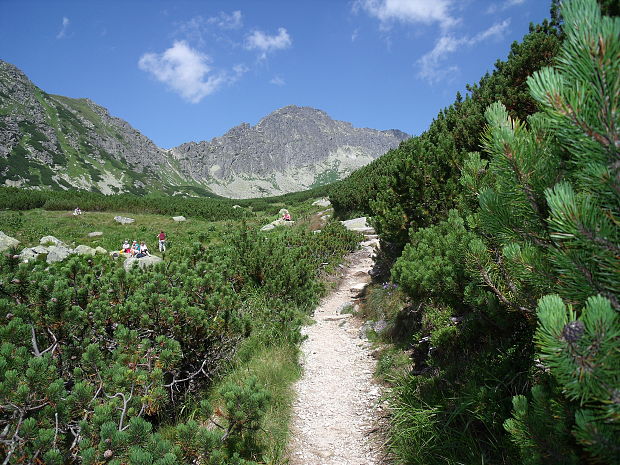 Skutnastá Poľana 1710m.n.m.