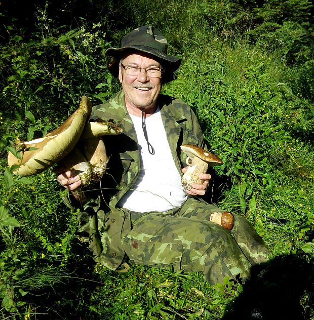 hríb smrekový Boletus edulis Bull.