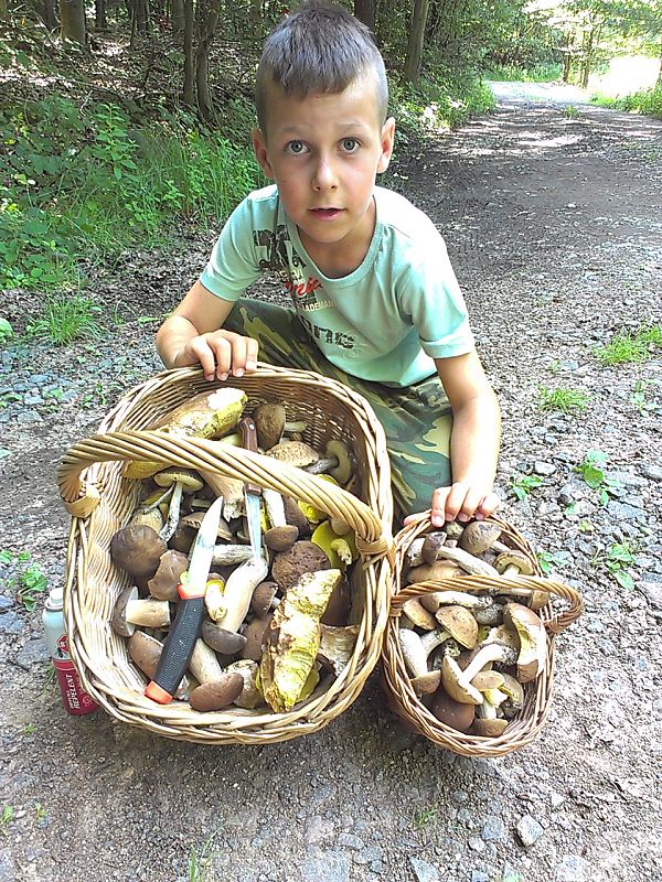 dubaciky,kozáciky