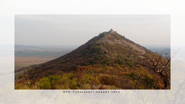 Národná prírodná rezervácia Turniansky hradný vrch
