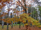 Jesenný park