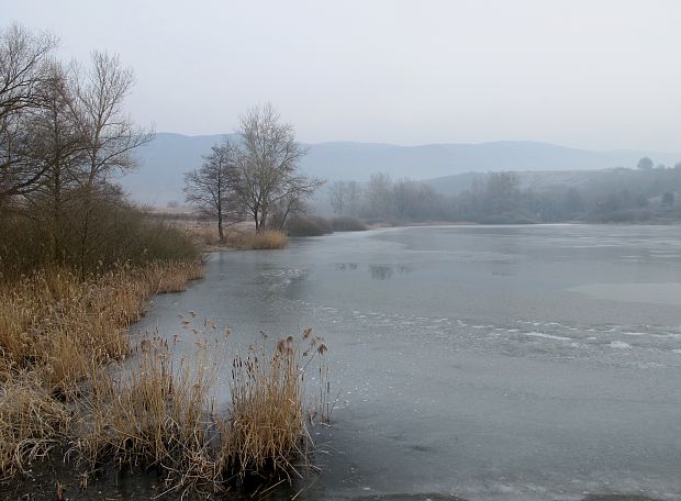 ráno na Hrušovskom rybníku