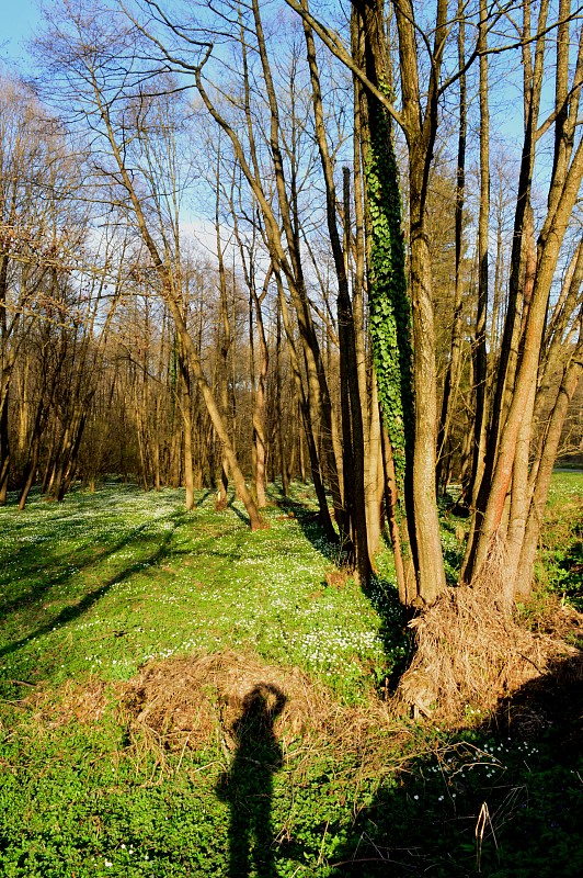 ....a pažiť zeleno milo sa prihovára