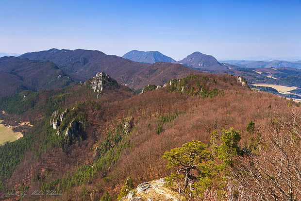 Súľovské skaly