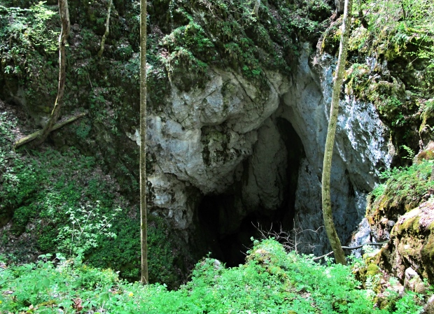 bezodná ľadnica