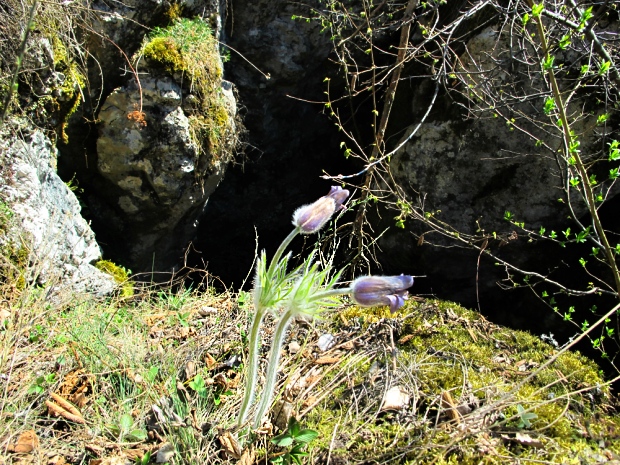 jaskyňa na Kečovských lúkach