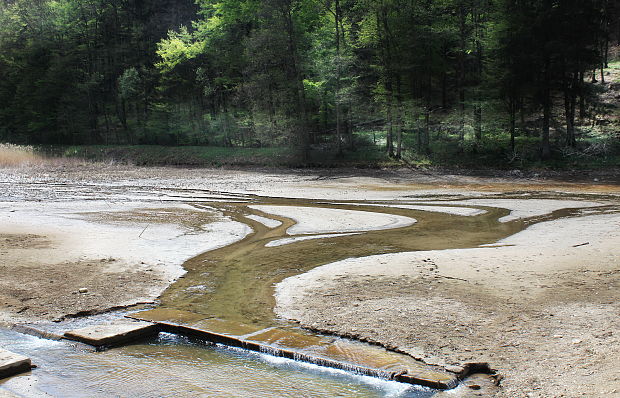 vypustený rybník