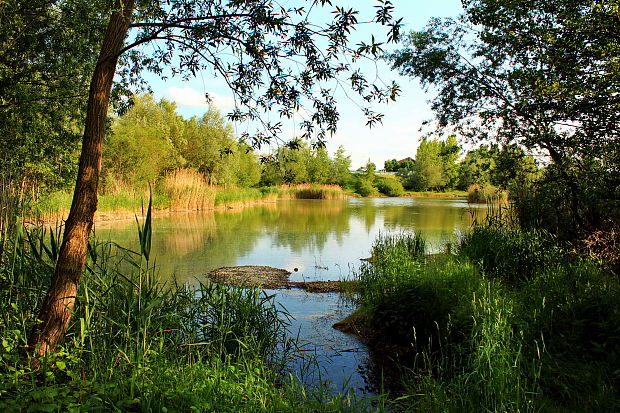 na štrkovni