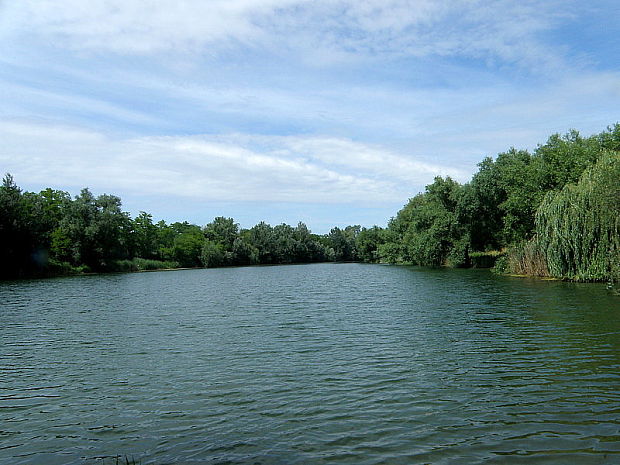 Bagrovisko Zelená voda