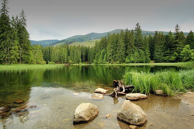 vrbické pleso